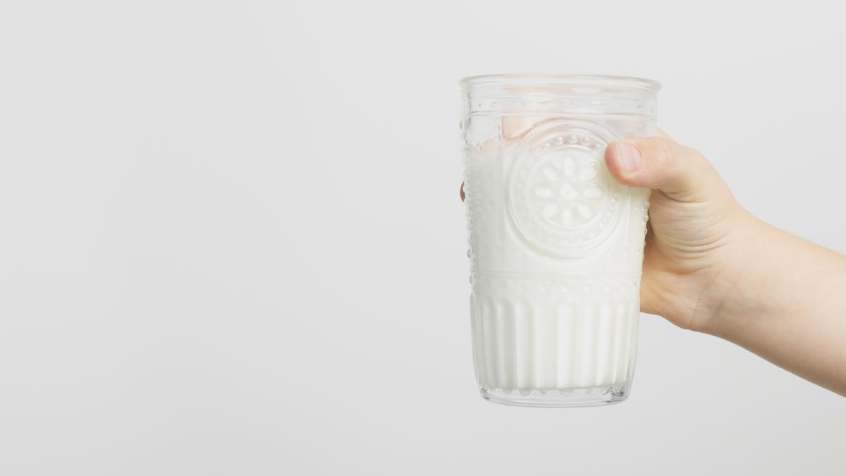 La leche es uno de los alimentos más nutritivos