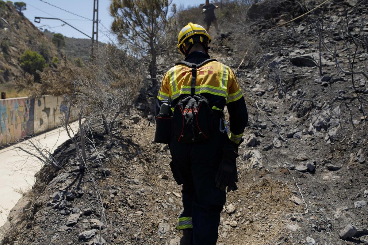 Les ADF lamenten que els Bombers no els «permetin treballar» en l’incendi de Portbou Les ADF lamenten que els Bombers no els «permetin treballar» en l’incendi de Portbou