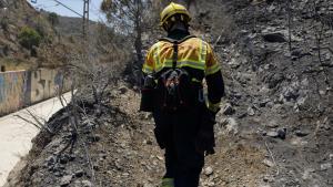 Les ADF lamenten que els Bombers no els «permetin treballar» en l’incendi de Portbou