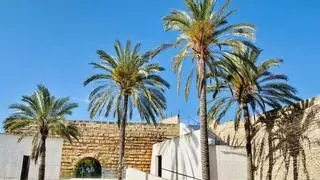 Wetter auf Mallorca: In der neuen Woche geht es bedenklich auf die 40 Grad zu
