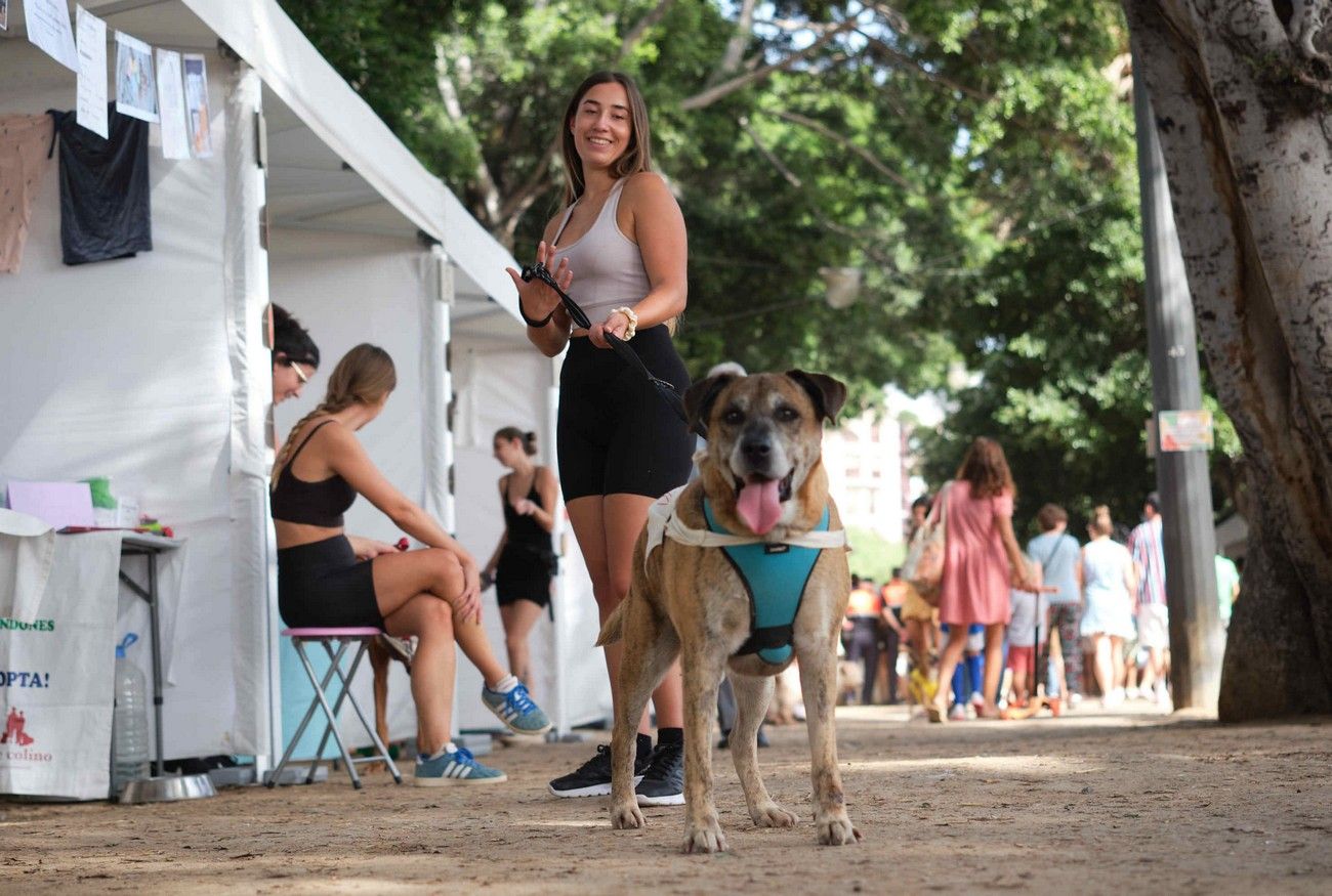 Día de los Animales en Santa Cruz