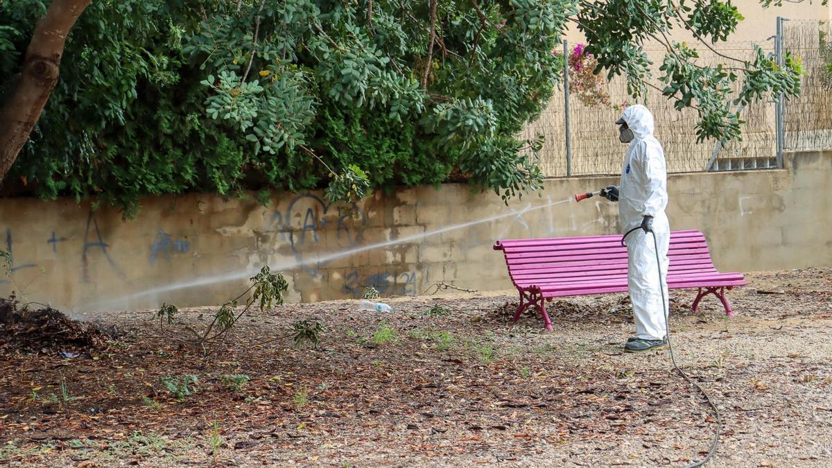 Campaña contra el mosquito tigre en Torrent.