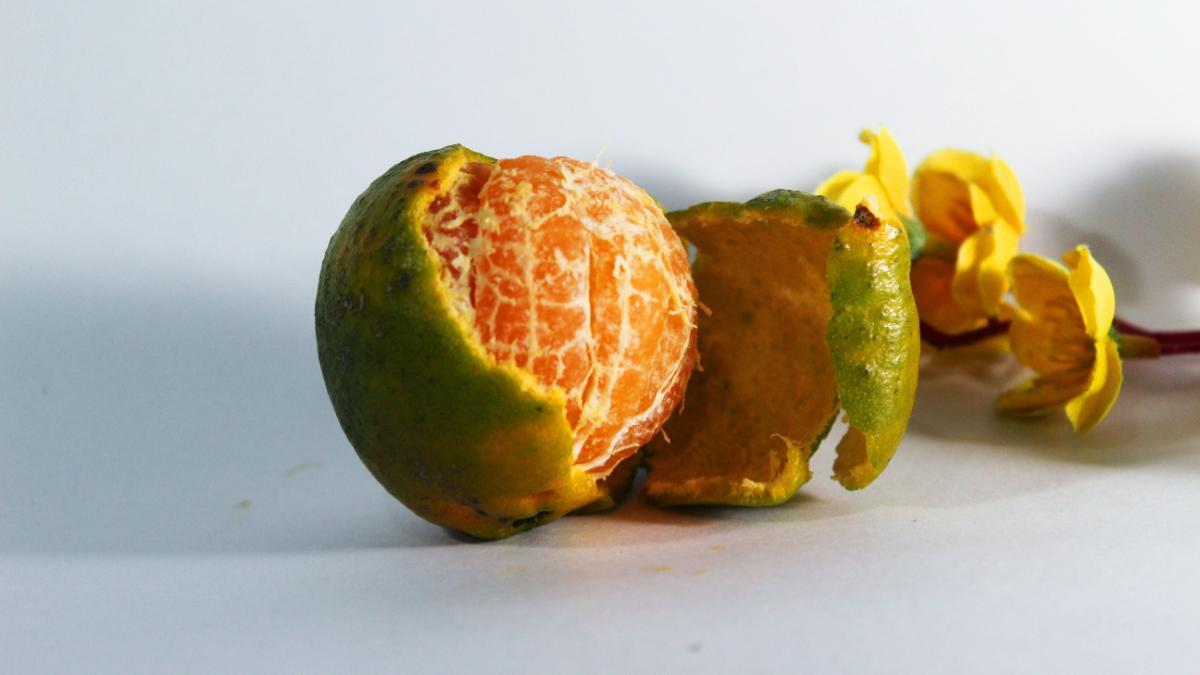 Descubre los beneficios ocultos de las cáscaras de naranja en tu hogar