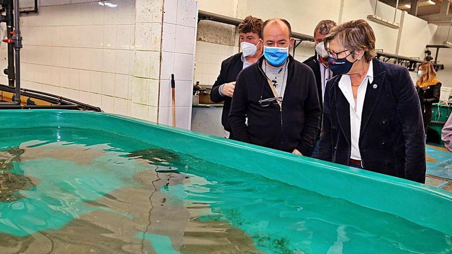 La industria del mar lanza su última bala para frenar la Ley de Cambio Climático