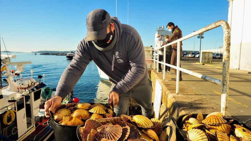 Las claves para darle valor a los productos del marisqueo y la pesca, a debate en Vilagarcía