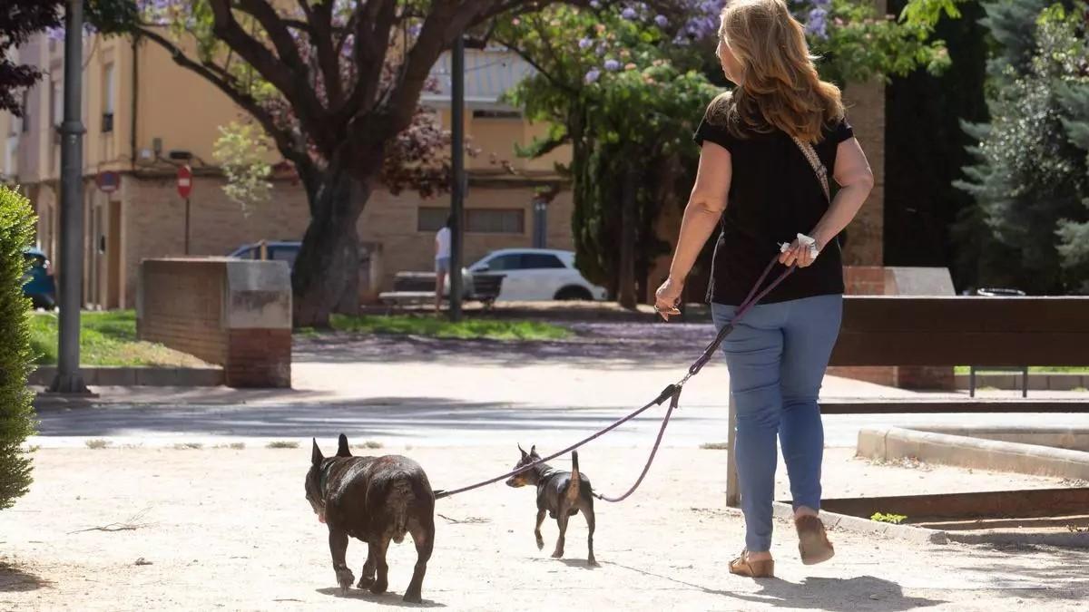 Una vecina de Alzira mientras pasea a sus perros por un parque de la ciudad.