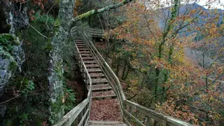 La ruta más bonita de Galicia: pasarelas sobre el río y un paisaje de película