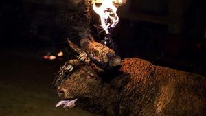 El Parlament vota abolir els correbous més agressius 13 anys després de prohibir els toros