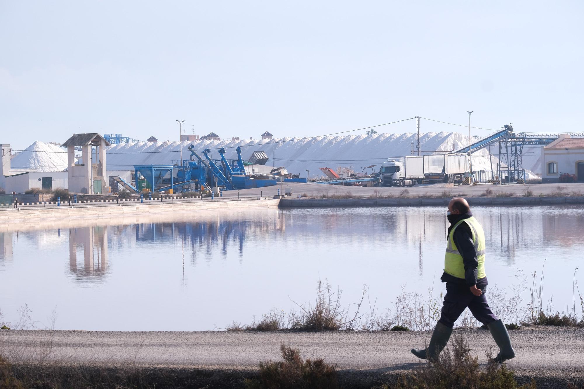 La sal de Santa Pola triunfa en el mercado gourmet y resiste la caída de las exportaciones