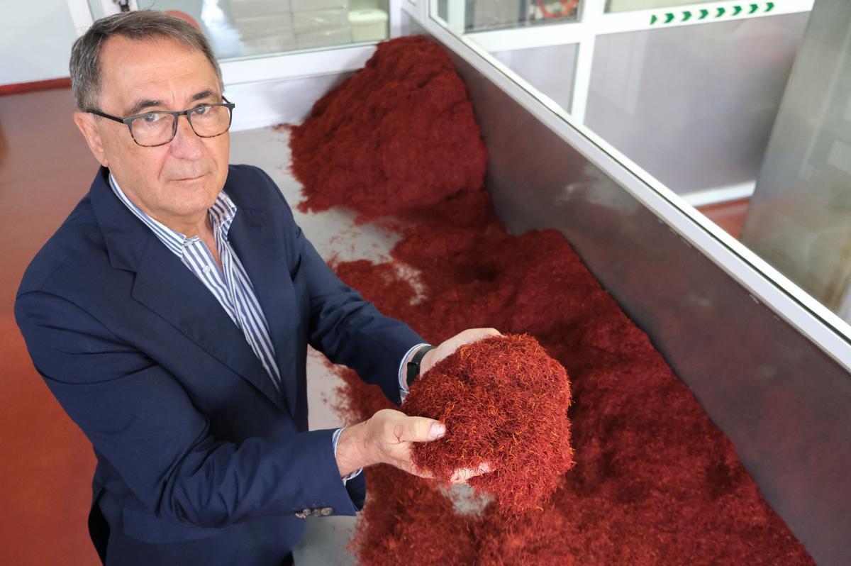 El presidente de Carmencita, Jesús Navarro, con el azafrán que trabajan en la fábrica.