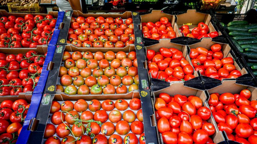 Archivo - Un puesto de tomates en un mercadillo al aire libre, a 31 de julio de 2022, en el distrito de Tetuán, Madrid (España). Las ventas totales de bienes de consumo aumentaron en junio el 11,5% respecto a 2021. La inflación en la mayoría de los produc