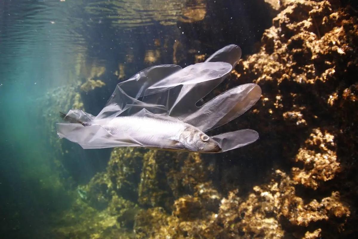 Un desecho plástico en el mar