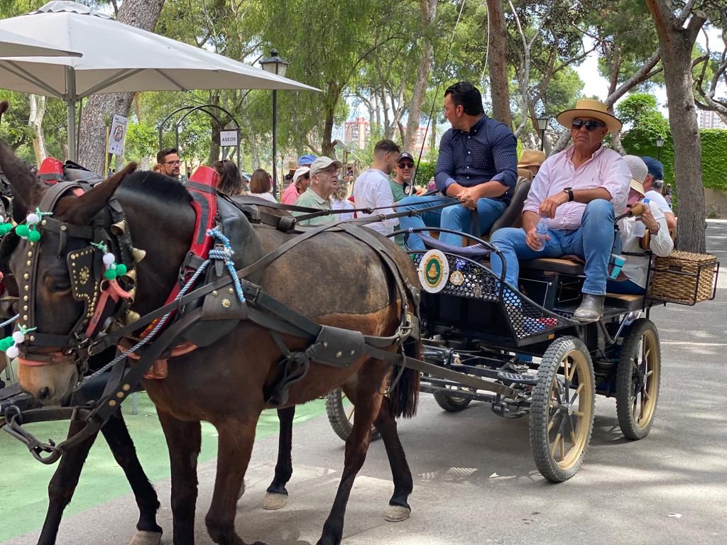 Romería de María Auxiliadora en El Campello