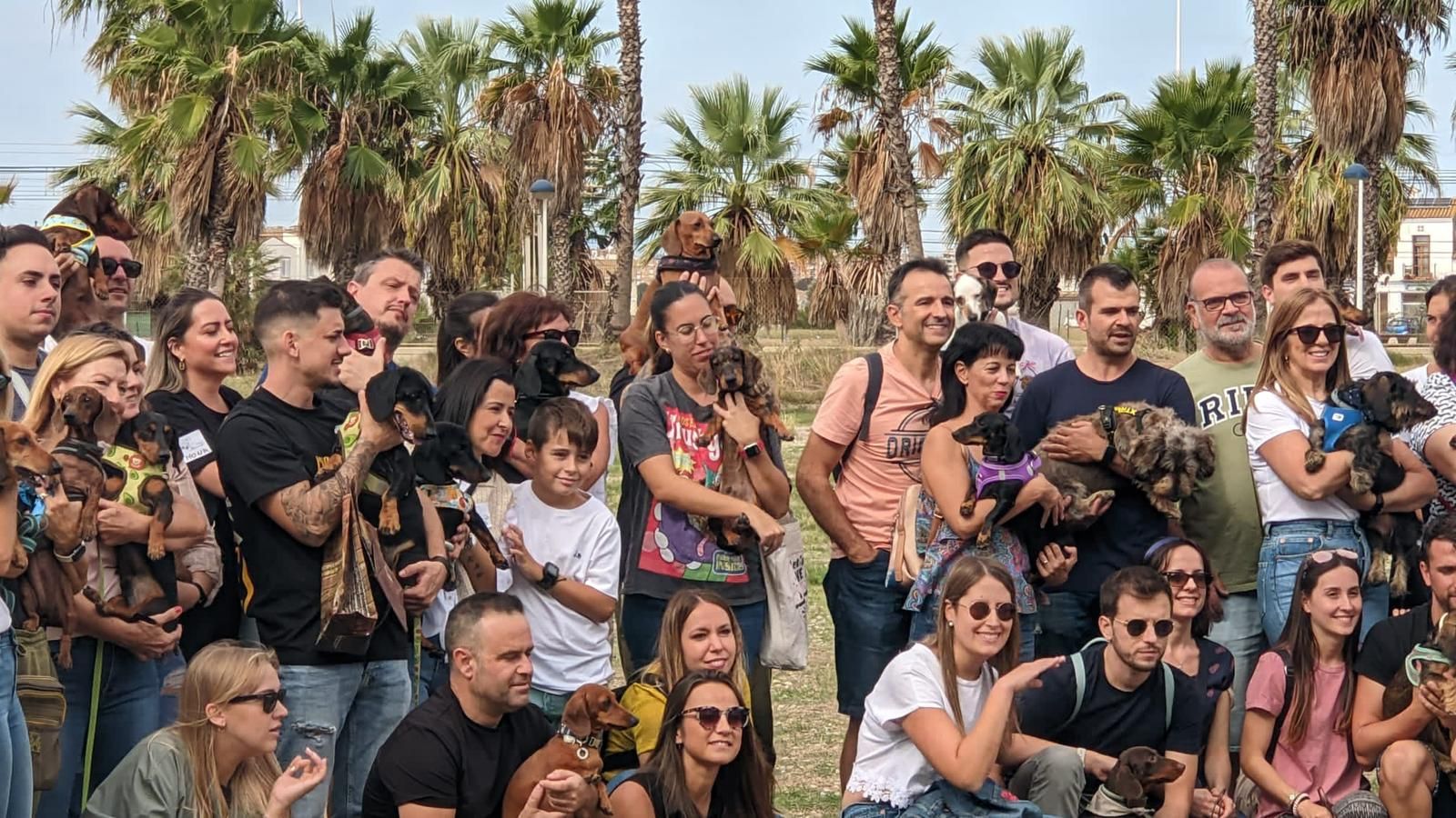 Más de 100 teckels se reúnen en la "Salchiquedada" de Alboraia