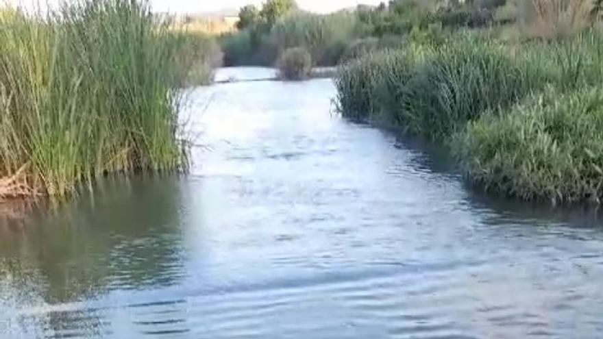 Los regantes controlarán que el río Albaida cumple el caudal ecológico previsto