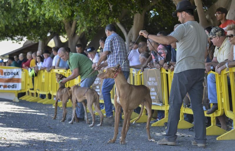 Feria Insular de Caza