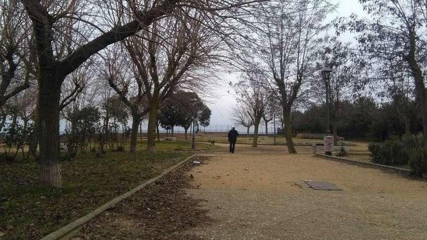 Un vecino pasea junto a su perro por el mirador de la Magdalena de Toro en el que el Ayuntamiento estudia instalar un cerramiento.