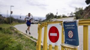 Els 500 senglars que queden a Collserola seran eliminats
