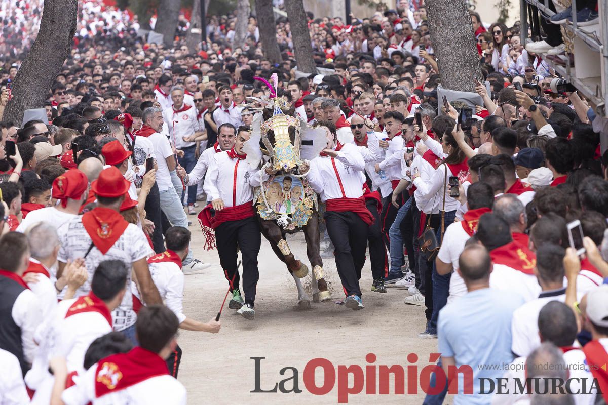 Así se ha vivido la carrera de Los Caballos del Vino en Caravaca