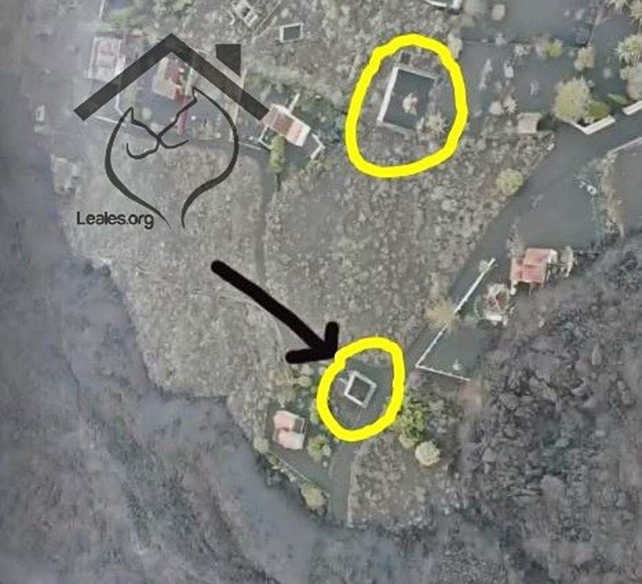 Imagen aérea que muestra dónde están los perros.  