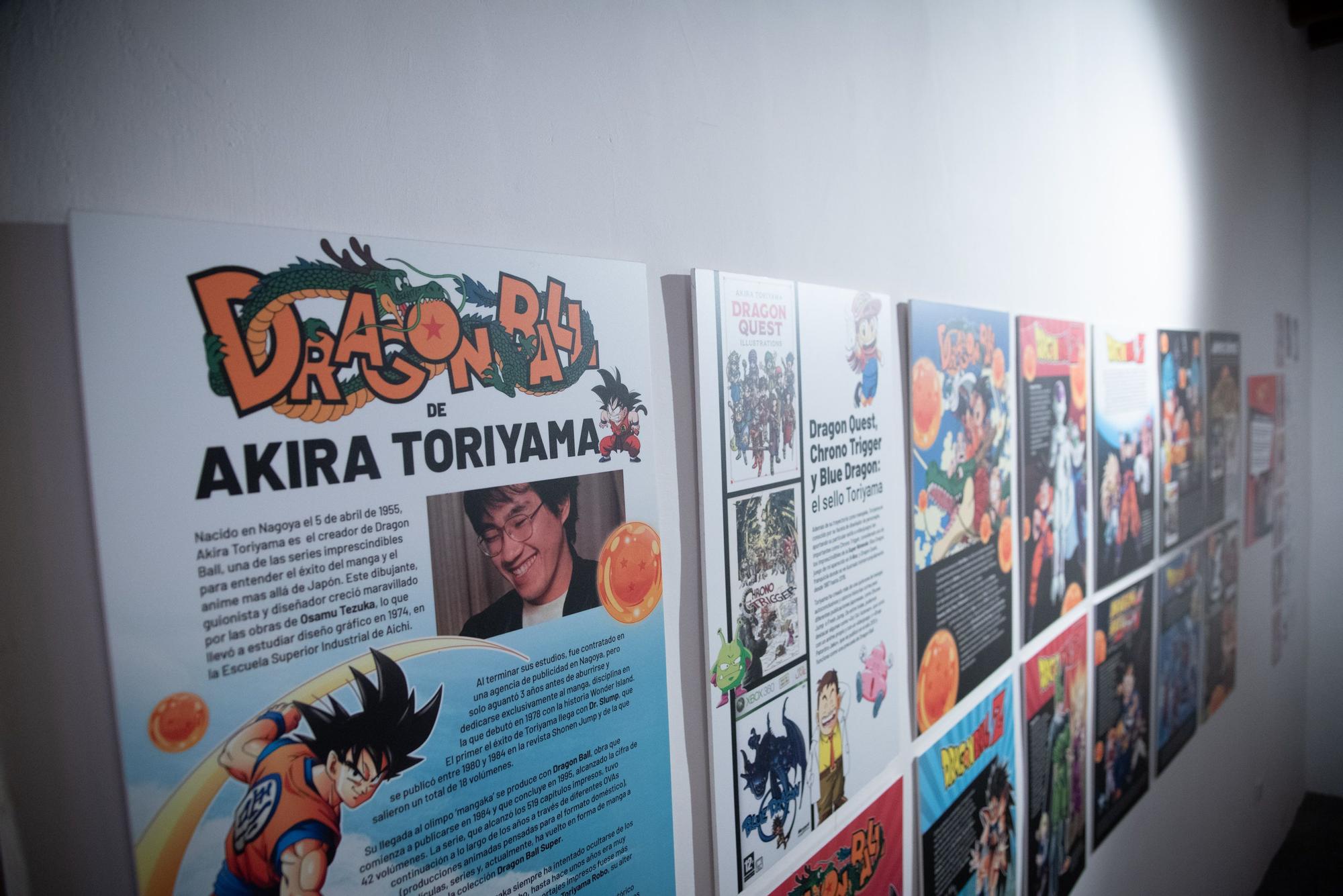 Feria Internacional del Manga y el Tebeo. La Laguna es Cómic