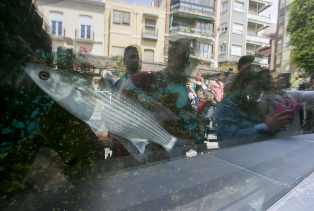 Inauguración del nuevo acuario