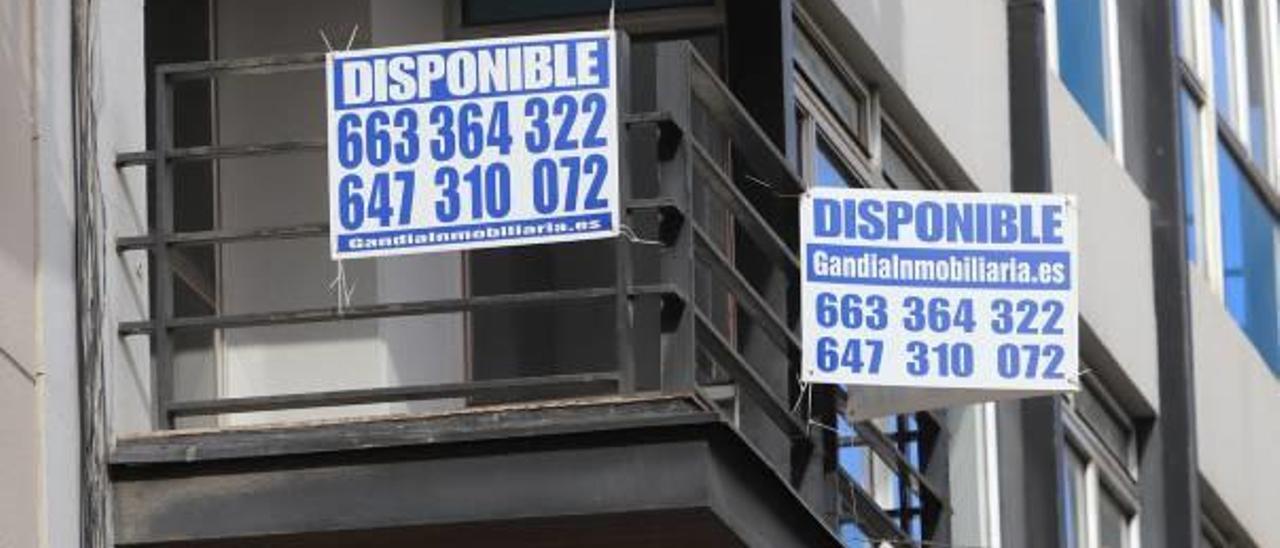 Pisos de Gandia con carteles para el alquiler en una de las calles situadas en el centro histórico de la ciudad.