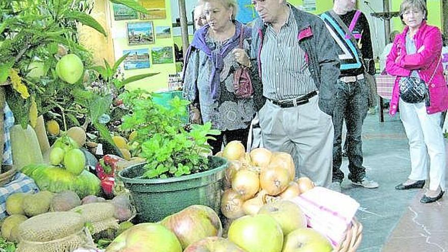 Quintes reúne lo mejor de su huerta en un certamen que ganó María Flor Costales