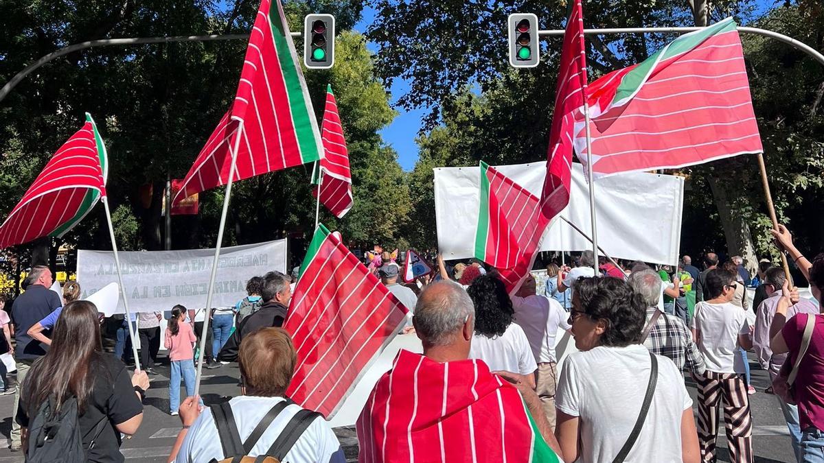 Zamoranos participan en un acto de protesta contra la despoblación celebrada en Madrid.