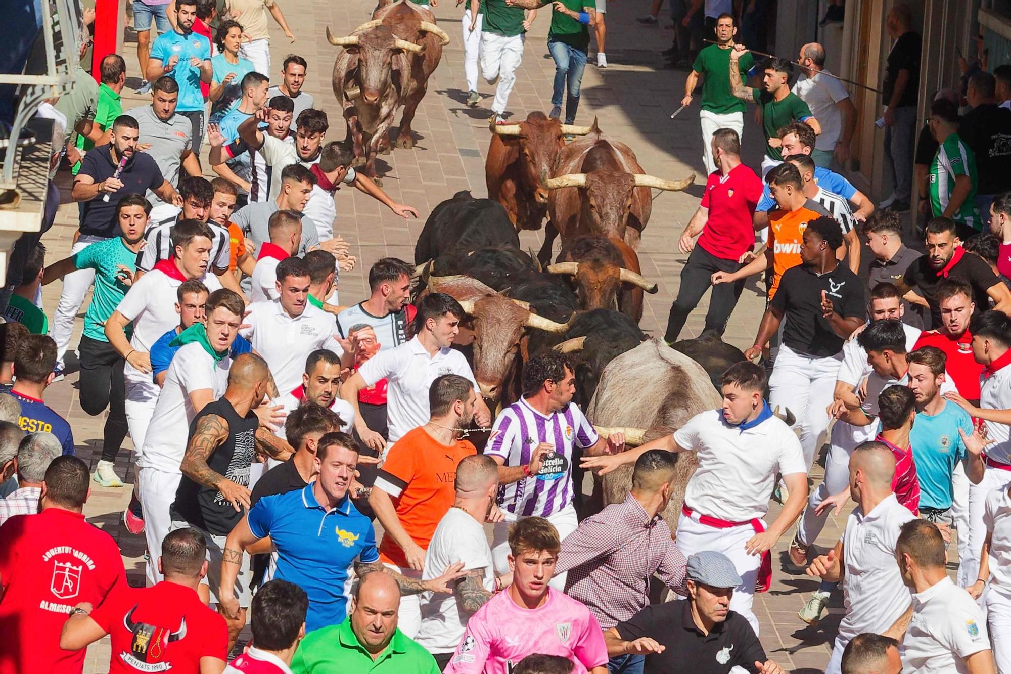 Las imágenes del primer encierro de las fiestas de Almassora