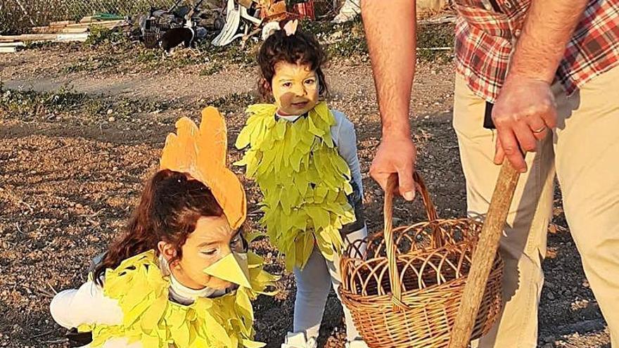 Premios para el carnaval en red de Sant Antoni