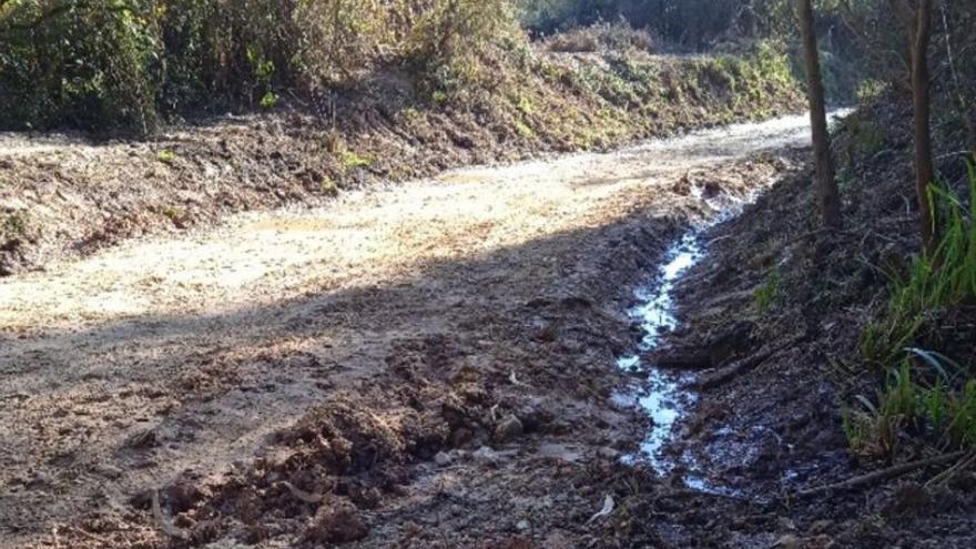 Elevan al Seprona las quejas por el “destrozo” del camino jacobeo entre Coto Carcedo y La Plata