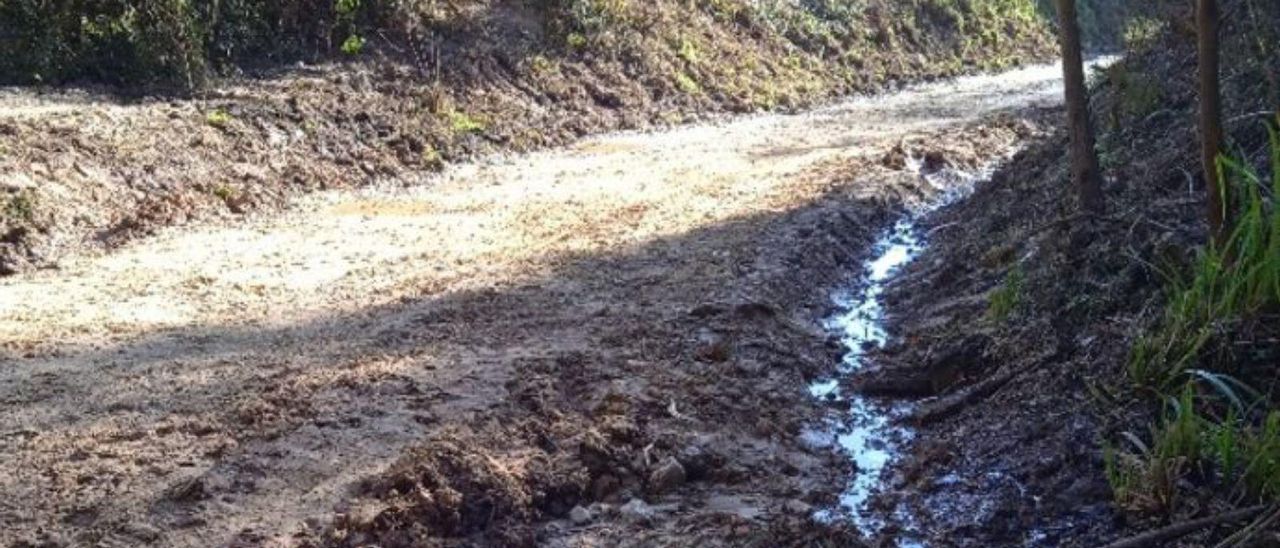 En las imágenes superiores, dos tramos del Camino de Santiago entre Coto Carcedo y La Plata antes de realizarse obras; abajo, los tramos de la misma ruta tras entrar las máquinas.
