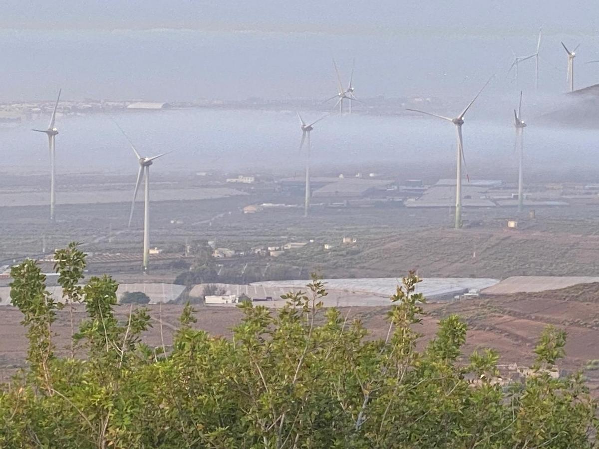 Imagen de la neblina en el Cruce de Arinaga -Agüimes- durante la mañana de este jueves.