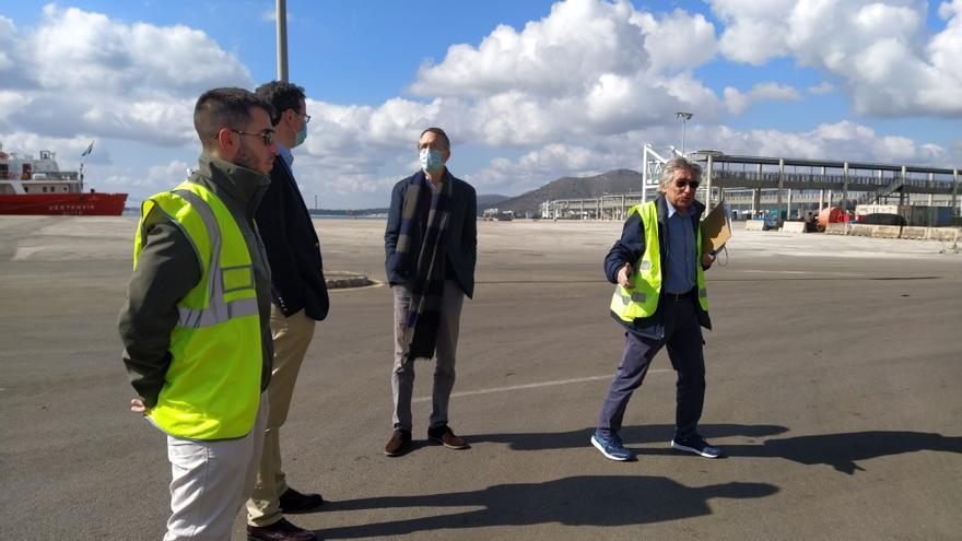 Miembros de la APB y de la plataforma Salvem el Moll se reunieron el jueves en el puerto de Alcúdia.