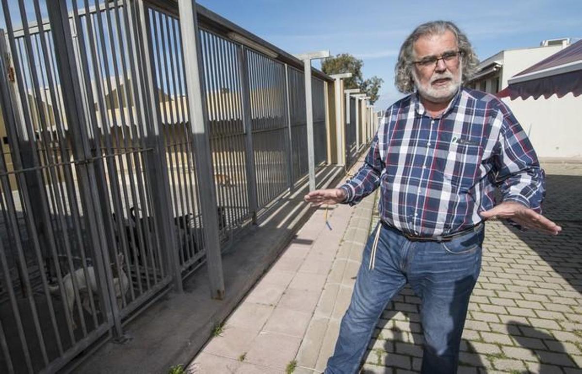 03/01/2019 ARUCAS. Albergue Insular de animales. Enrique Rodríguez, presidente del Colegio de Veterinarios. FOTO: J. PÉREZ CURBELO