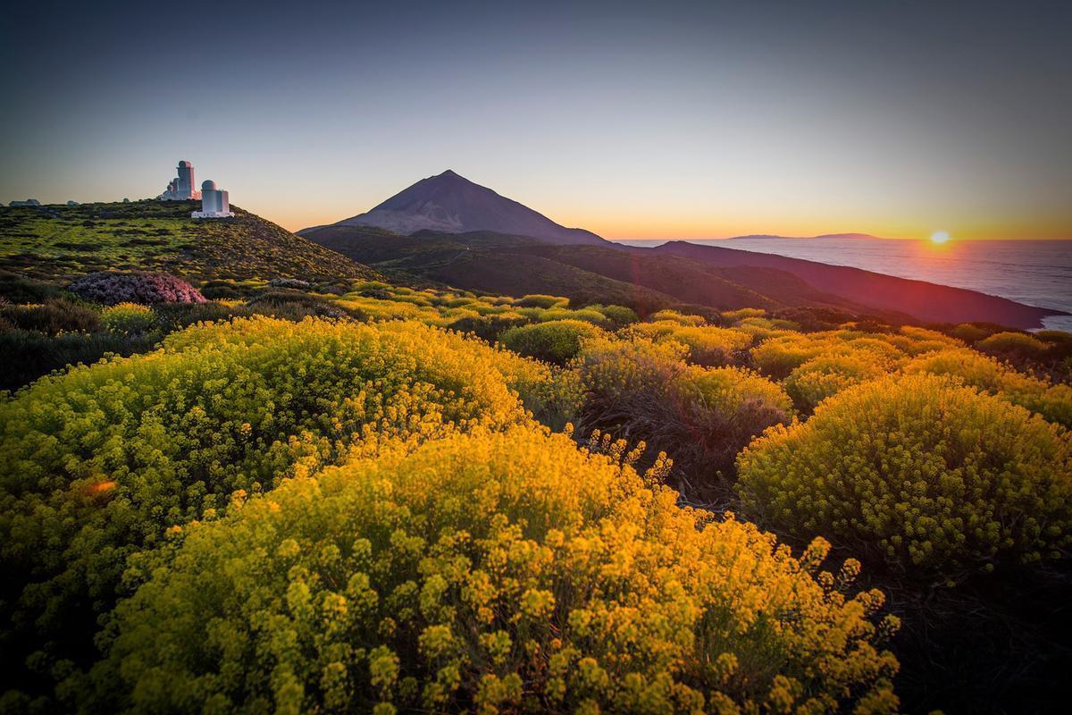 Imagen de archivo del Parque Nacional del Teide.