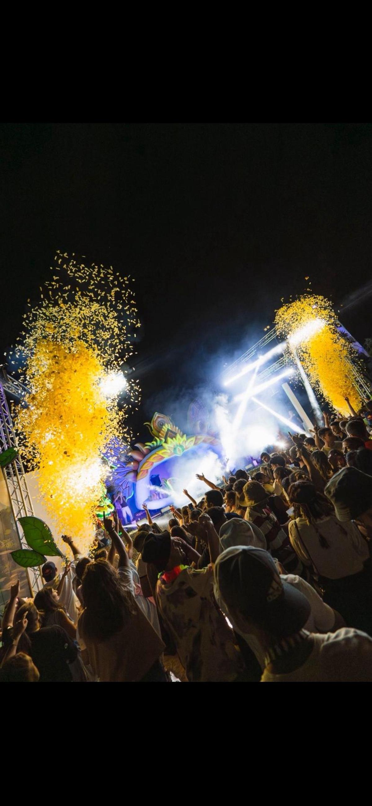 Ediciones anteriores del carnaval de verano.