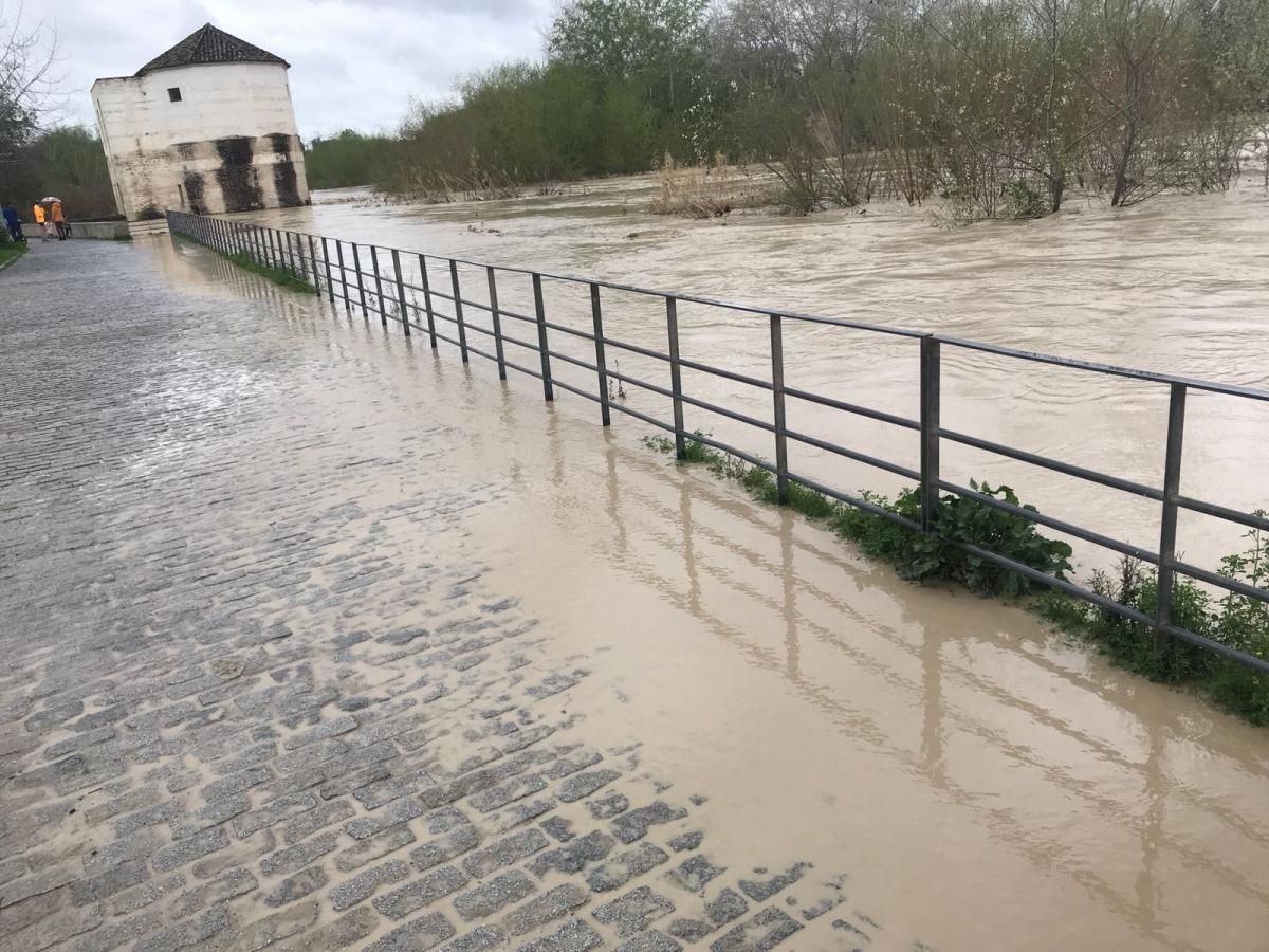 Córdoba, pendiente de la crecida del Guadalquivir