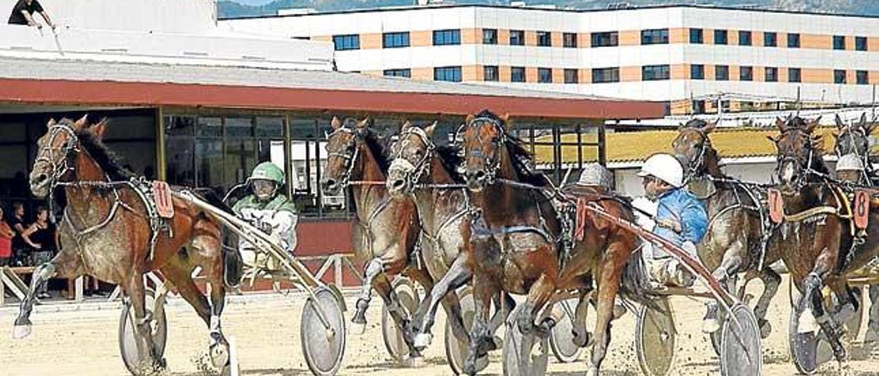 Ventada JP y Vincennes HM vuelven a enfrentarse hoy.