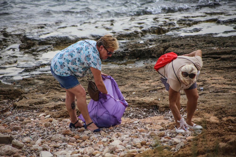 Limpieza del palmeral de Ferrís en Torrevieja