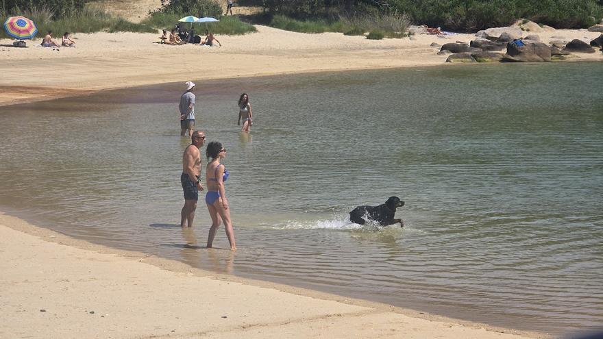 Ya son trece las playas de la provincia de Pontevedra a las que podrás acudir este finde para refrescarte con tu perro