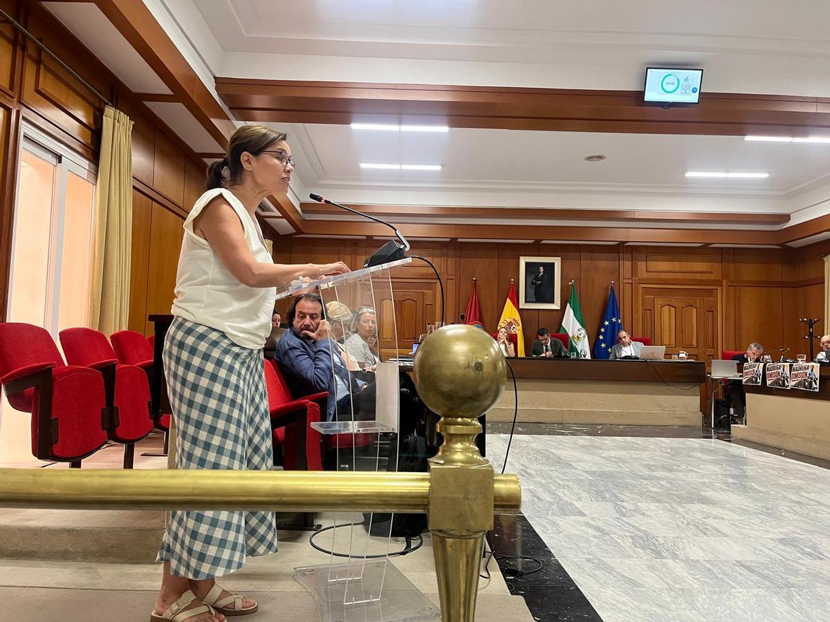 La antropóloga Mónica Alonso ha tomado la palabra en el salón de plenos en defensa de los cines de verano y en representación del consejo de distrito Centro y SOS Cines de Verano.