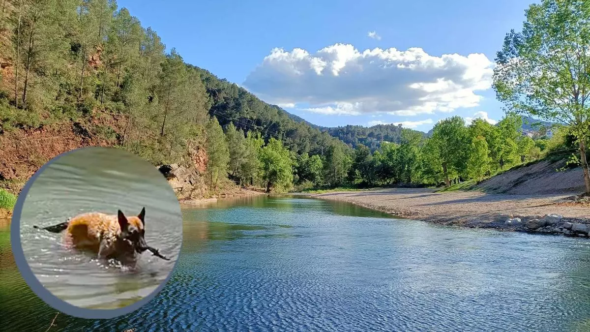 El Alto Mijares estrenará este verano una playa fluvial destinada a perros