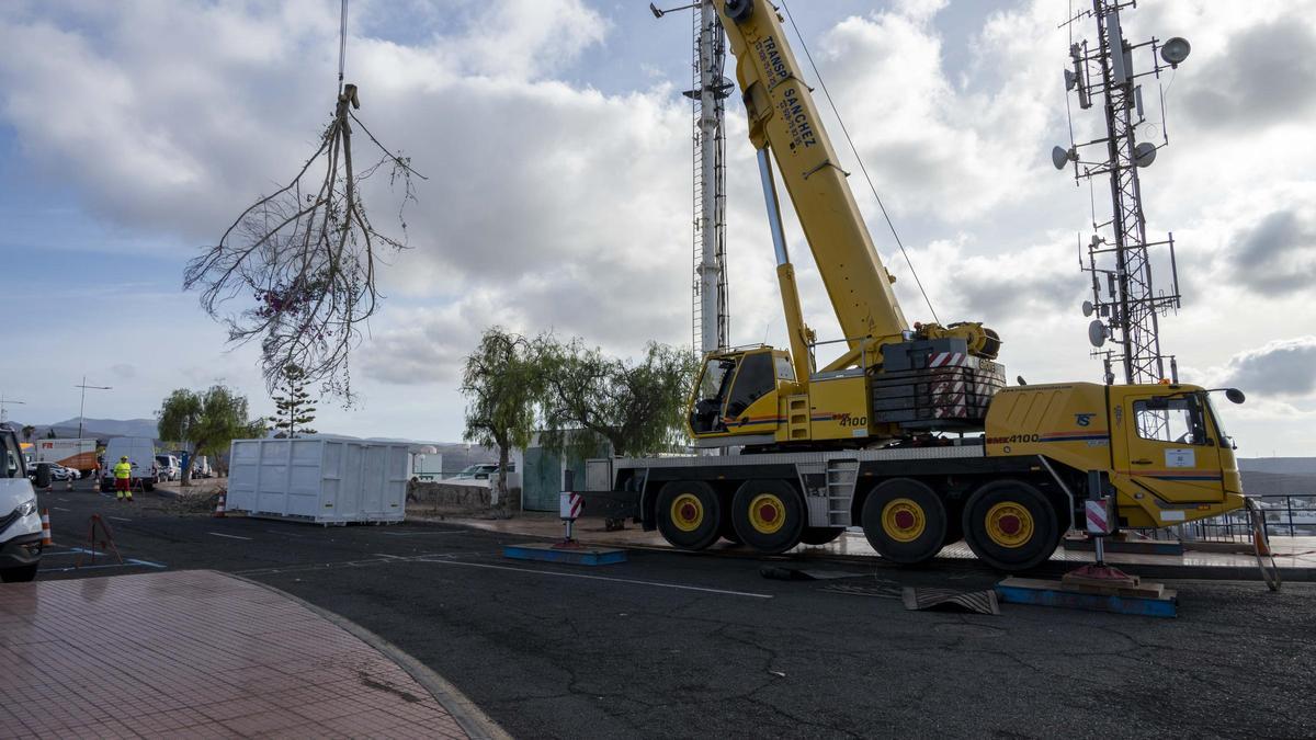 Retirada de la maleza