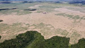 Amazonas brasileño en plena deforestación