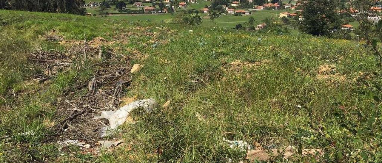 Terrenos de La Lloba que presumiblemente albergan restos de la Guerra Civil.