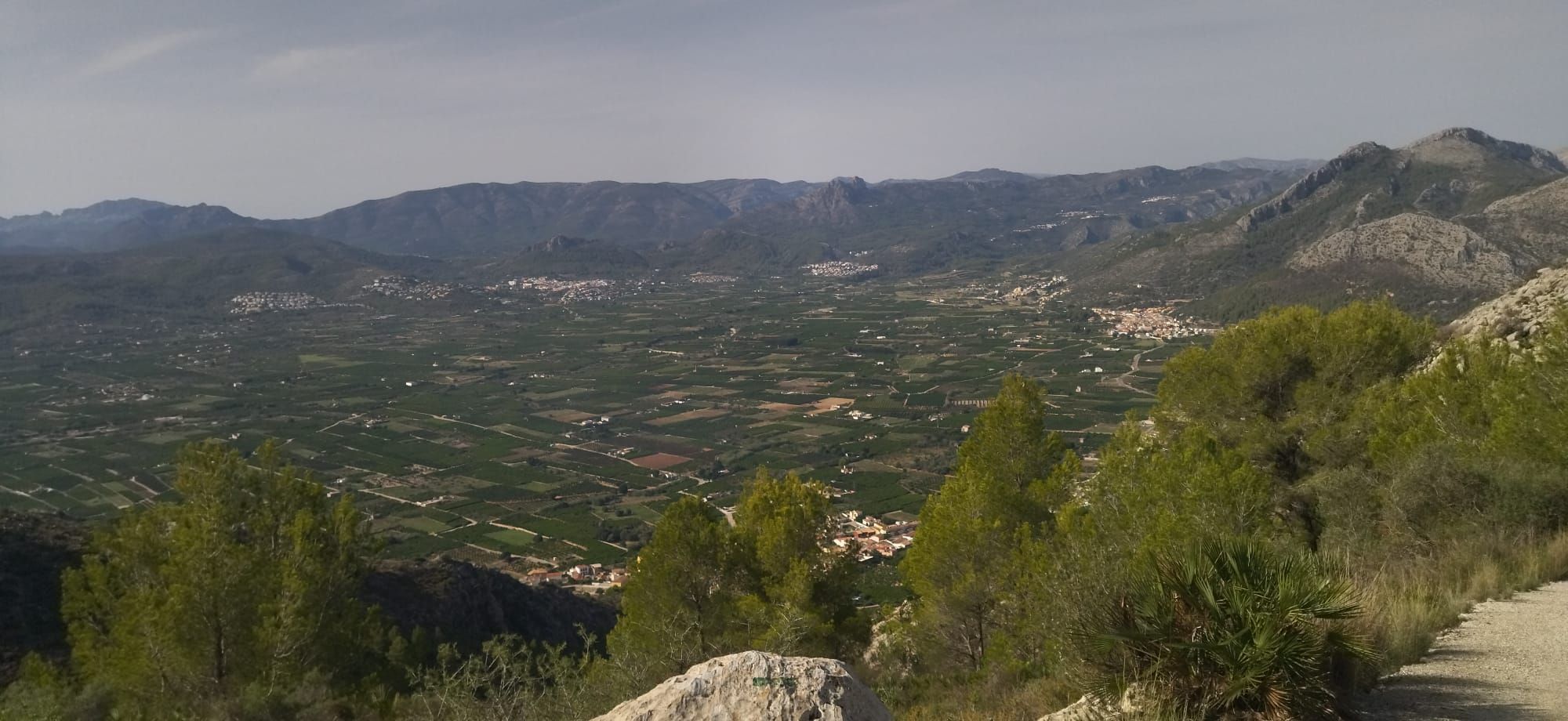 Arroz al norte y naranjos al sur: el paisaje agrícola desde la cima de Segària (imágenes)