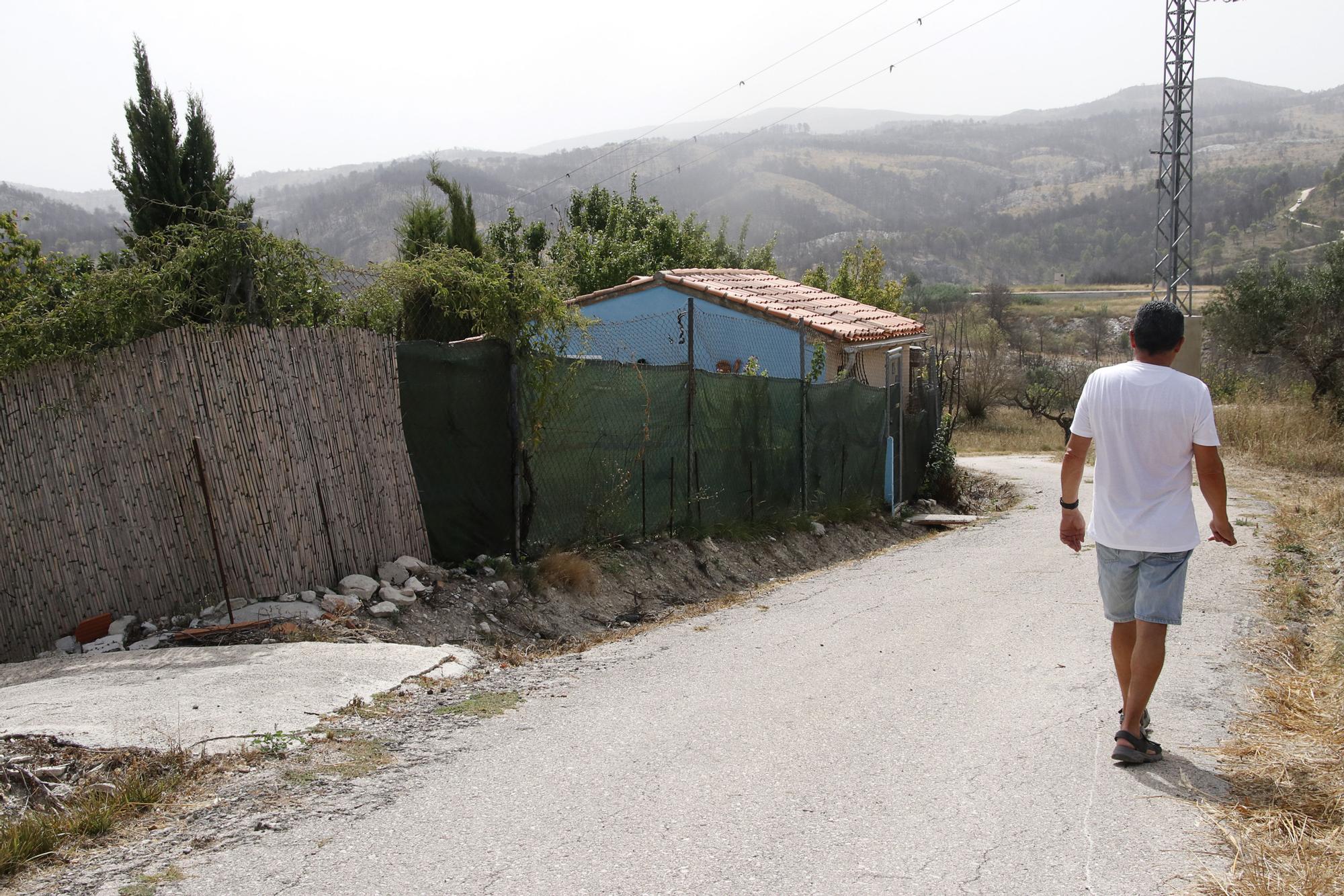 Así está el Vall d'Ebo un año después del incendio