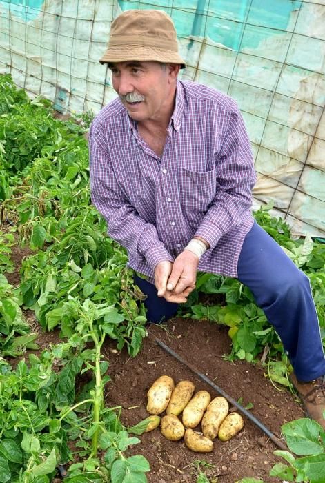 Pepe Guedes, agricultor orgánico